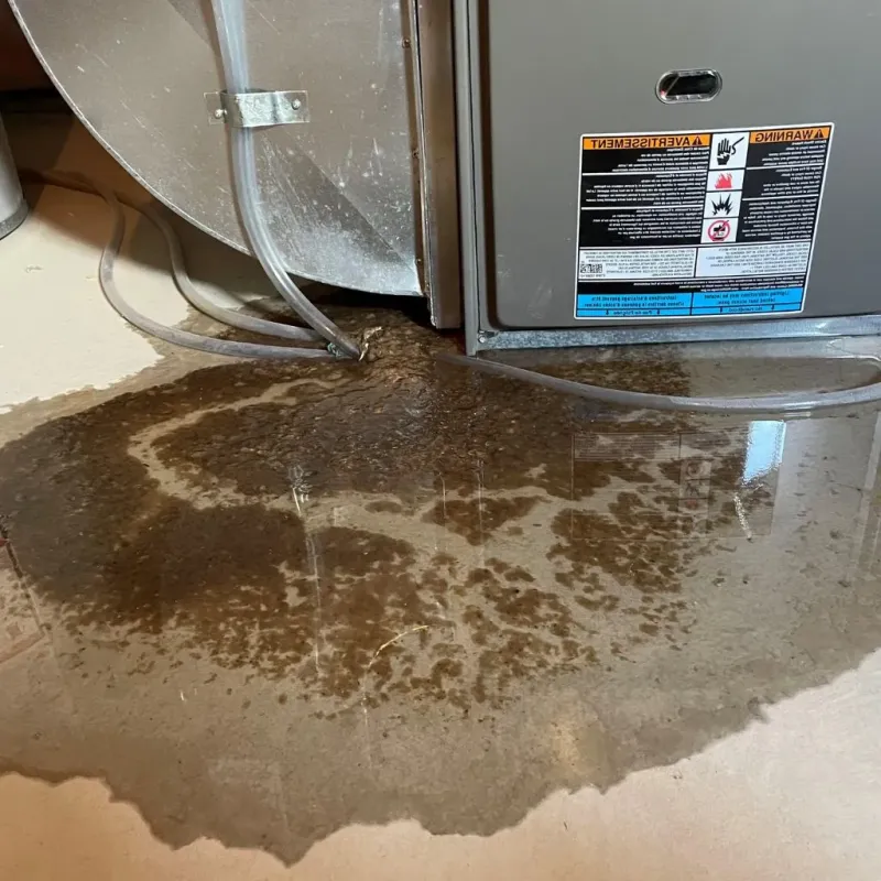 Pipe Burst and Leak Restoration in Lebanon, KY