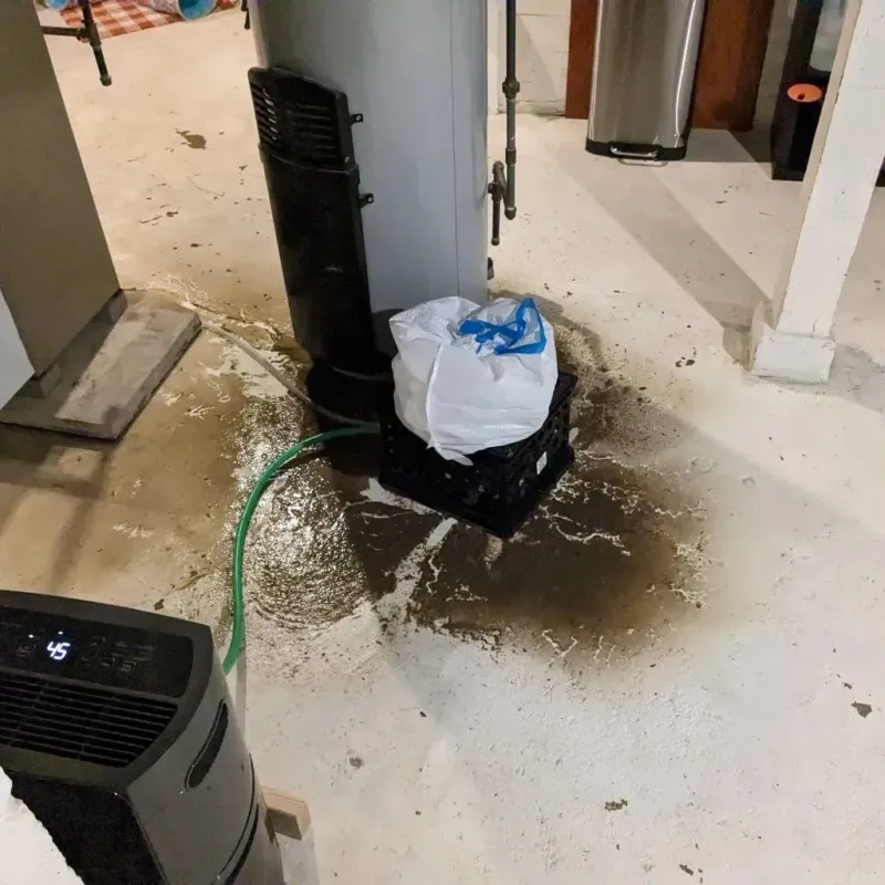 Sewage Backup Cleanup Service in Lebanon, KY